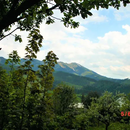 Drevenica Art Galery * Liptovska Luzna