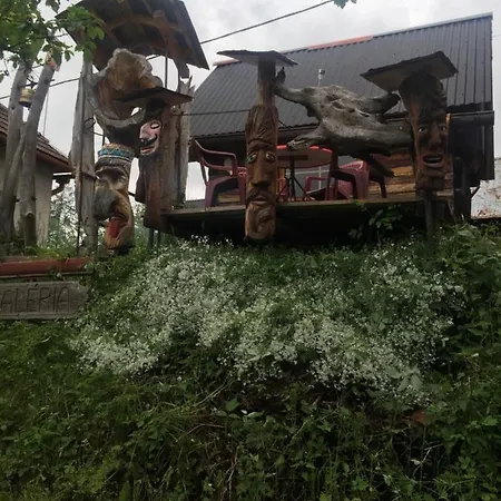 Dom wakacyjny Drevenica Art Galery *