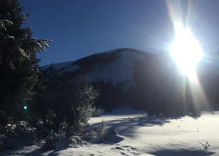 Drevenica Art Galery